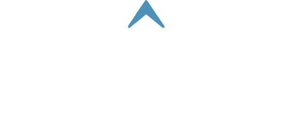 The Management Institute